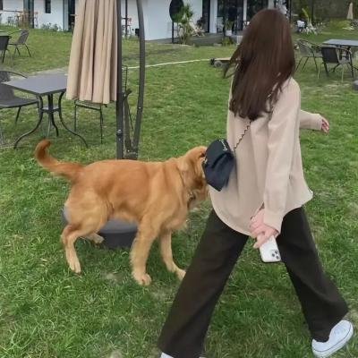 少年正义联盟第三季